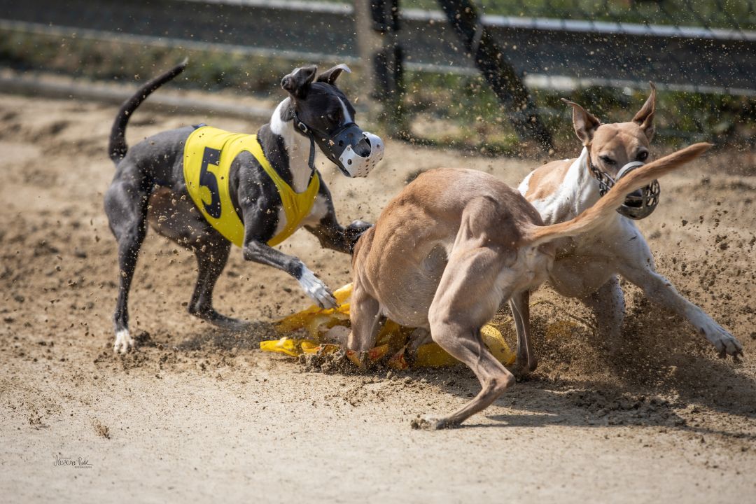 Training am 24.08.2025